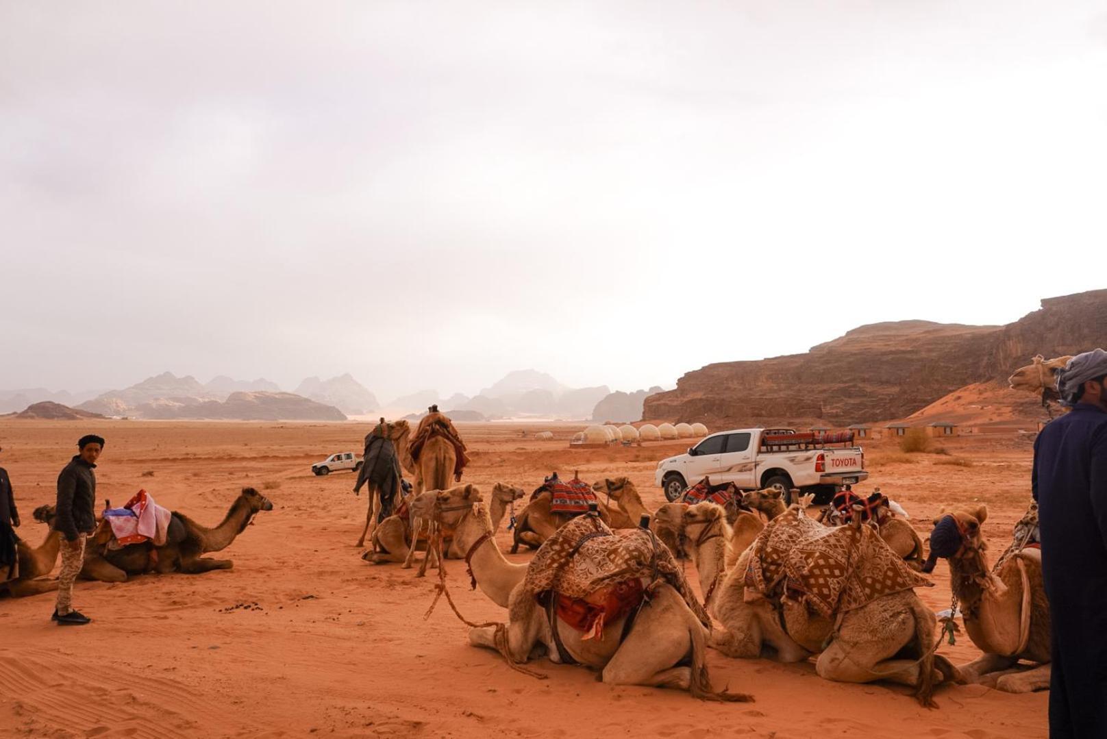 Shaheen Camp Wadi Rum Zewnętrze zdjęcie