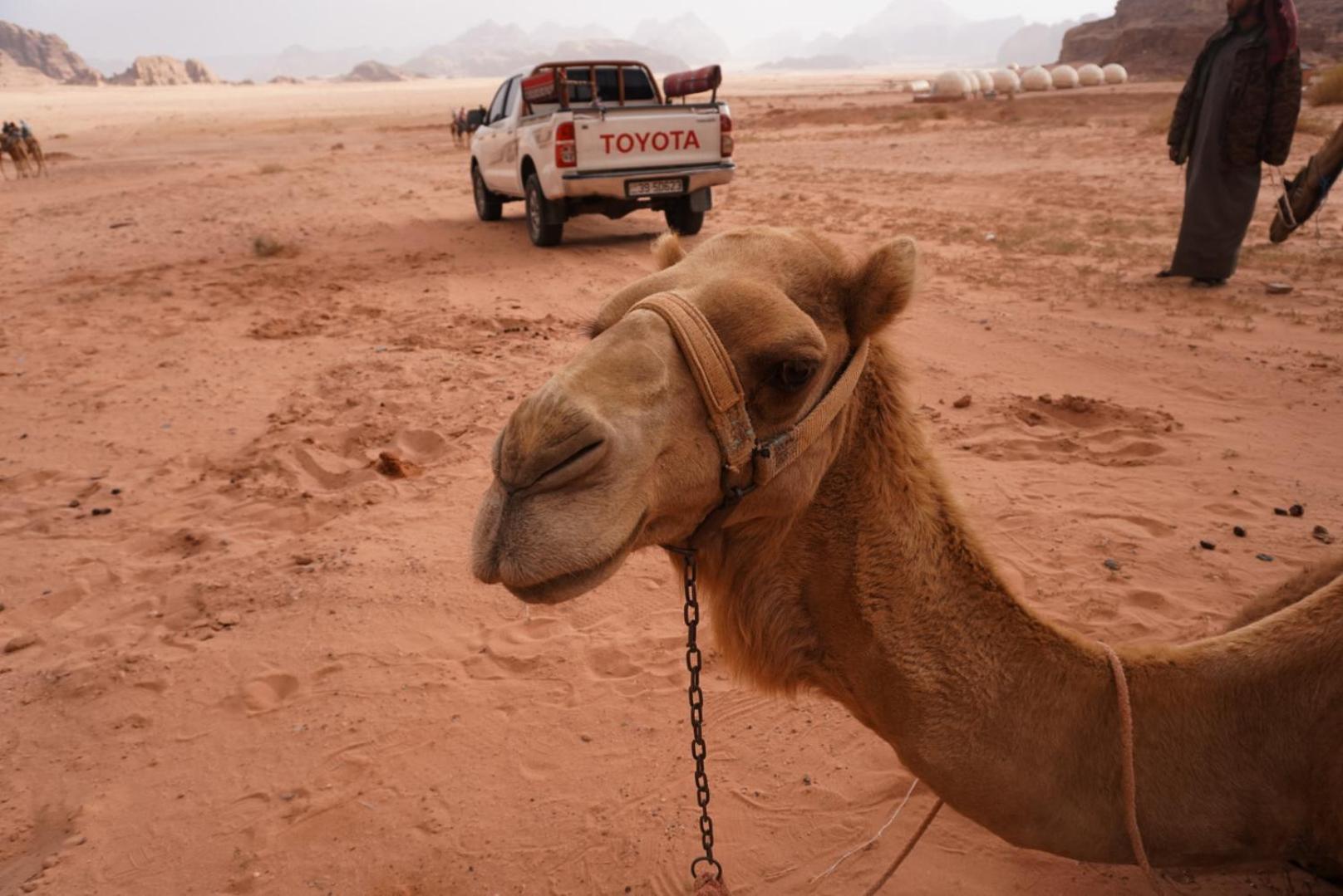 Shaheen Camp Wadi Rum Zewnętrze zdjęcie