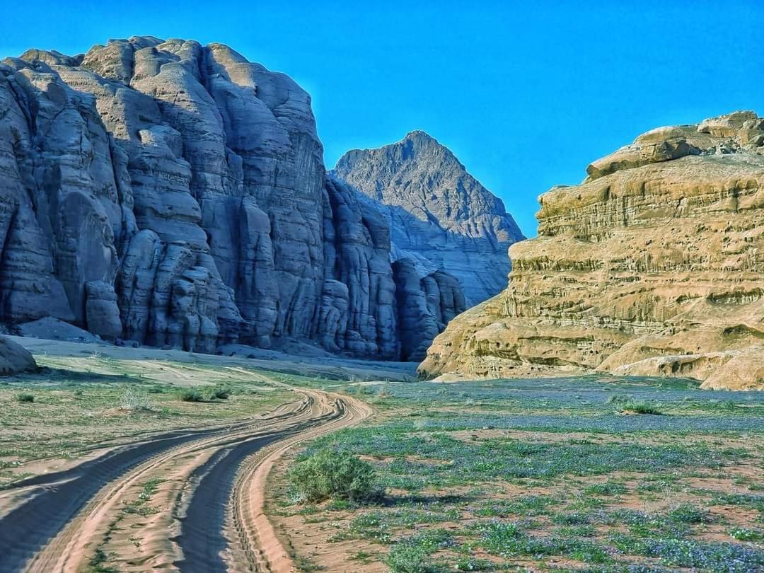 Shaheen Camp Wadi Rum Zewnętrze zdjęcie