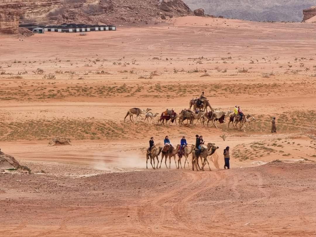 Shaheen Camp Wadi Rum Zewnętrze zdjęcie